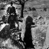 dolmen de la graou (début XXème)